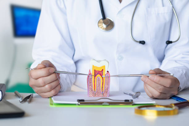 Best Emergency Broken Tooth Repair in Versailles, KY